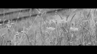 Video Se Van de Gran Rah, Bascur