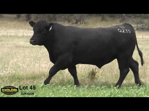 GRANITE RIDGE QUENCH Q236