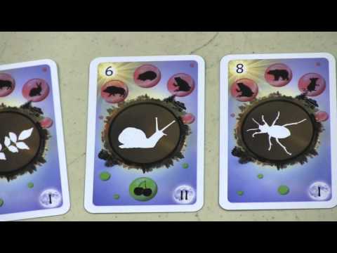 Dice Tower Reviews: Food Chain