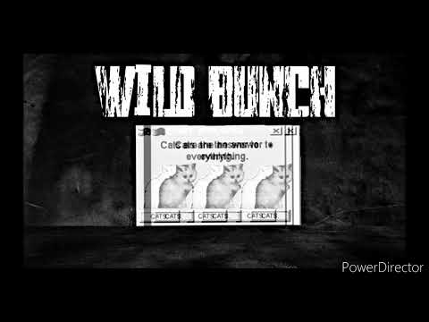 Tin Roof Cats - Wild Bunch (Audio)
