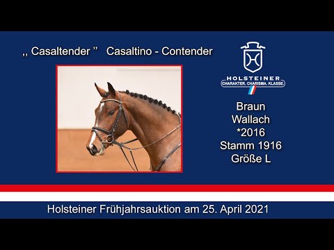 Holsteiner Frühjahrsauktion 2021 | Nr. 01 - Casaltender