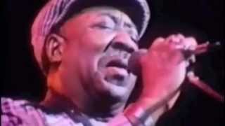 Muddy Waters : Mannish Boy Live ; Amazing Version from Eric Claptons film Rolling hotel :Manish Boy