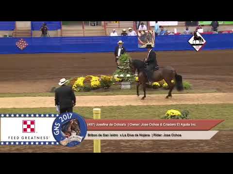 Josefina de Ochoa's Grand National Champion 2017