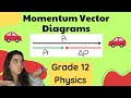 Vector Nature Of Momentum Momentum Vector Diagrams