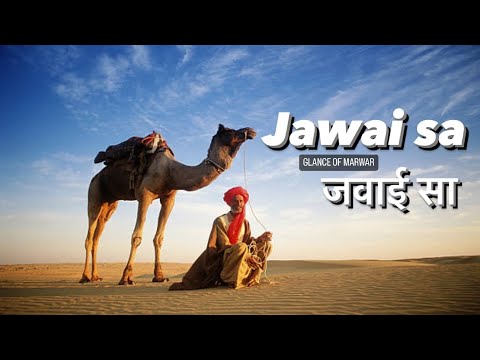 Jawai Sa || जवाई सा || Rafik Khan,Latif Khan, Jakir Khan Hamira || Glance of Marwar ||
