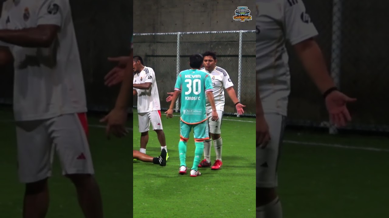 They stopped the game because of this player!