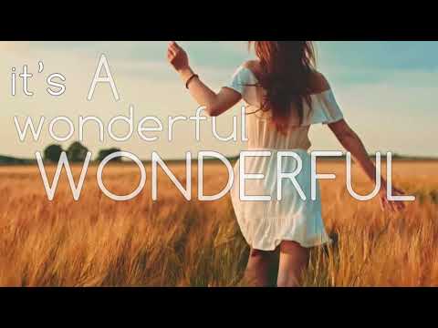 Didascalis - Wonderful Life (feat. Andy G) OFFICIAL VIDEO