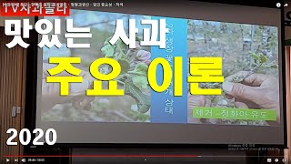 [사과재배]결실관리.정형과생산.냉해/적과/잎의 중요성/착색