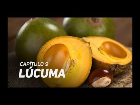 download lagu mp3 mp4 Lucuma Peruana, download lagu Lucuma Peruana gratis, unduh video klip Lucuma Peruana