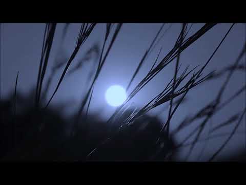 KONRADW. - BOCZNY WIATR