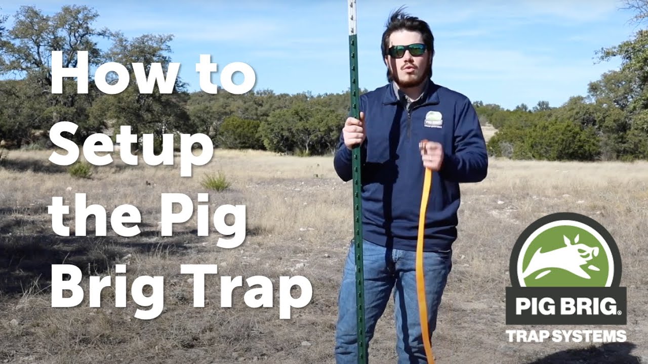 Pig Brig Trap System Setup