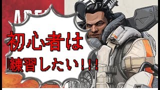 目指せ1000ダメ！初心者APEX野良の民！！！