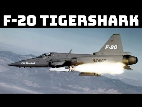 F-20 TigerShark | should have been built