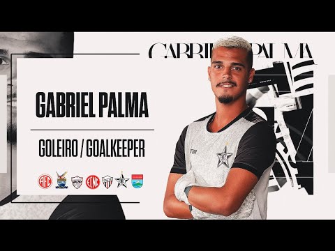 Dvd Gabriel Palma 2024 