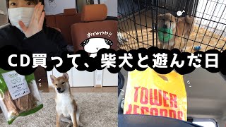 CDと柴犬におやつとおもちゃを買ってきた！