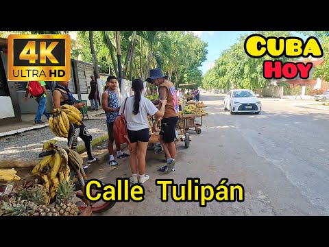 Del Cerro a Nuevo Vedado. CUBA HOY en 4K UHD