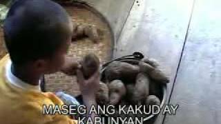 Video thumbnail of "biag mi ay na pobre"