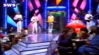 White Stars - Mein allerschönster Traum