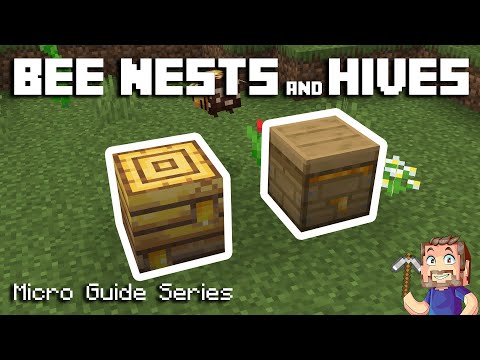Bees Nest & Hive - Minecraft Micro Guide