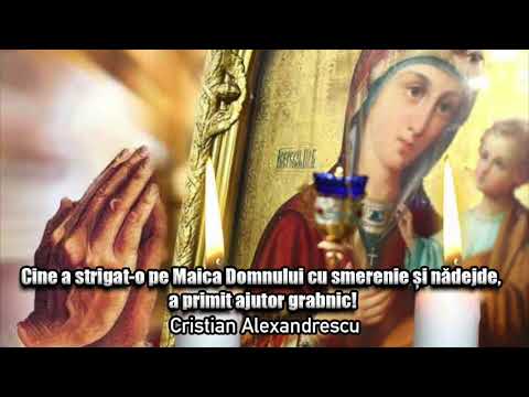 Whoever Called Out to the Mother of God with Humility and Hope Received Quick Help!