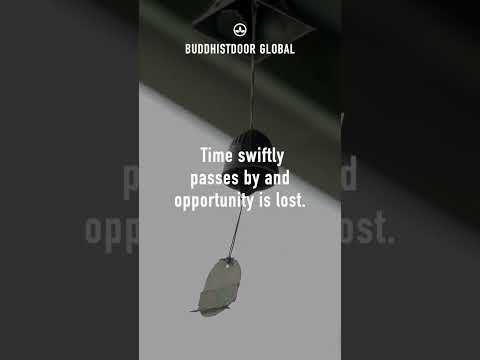 Buddhist Quote for Today: Dogen Zenji