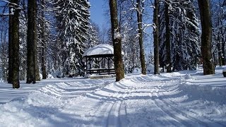 preview picture of video 'Hotel Risnjak, Delnice, Croatia'