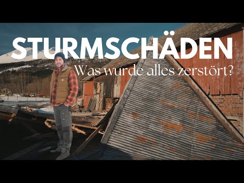 Damit haben wir nicht gerechnet | Sturmschäden auf unserem Hof I Folge 20