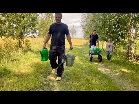 We left the City Life to Build a Peaceful Life Off-Grid–Homesteading