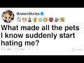 FULL STORY What Made All The Pets I Know Suddenly Start Hating Me
