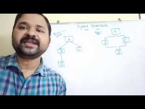 structure of c program overview of C anatomy of a c program anatomy of a c class