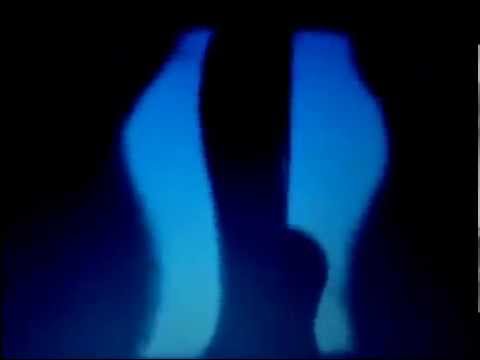 DiscoAbsurdo - Hustle For The Hassle