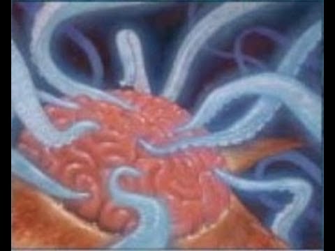 MTG | PSA - Masters 25 Errors - BUYER BEWARE