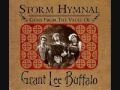 Truly Truly Grant Lee Buffalo