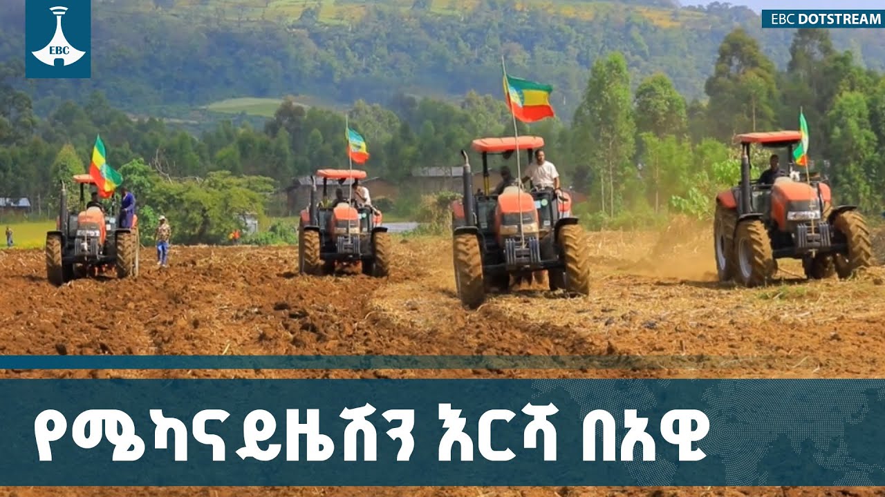 የሜካናይዜሽን እርሻን በመጠቀም የበጋ መስኖ ስንዴን በስፋት ለማልማት እየሰሩ እንደ?