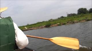 preview picture of video 'Pelican Watching from the Canoe'