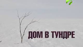 preview picture of video 'Арктика.Live Дом в тундре'