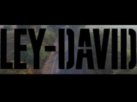 Harley Davidson Street Bob | Rider's Profile Teaser