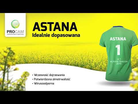 Astana – Najbardziej dopasowana i dochodowa odmiana na Twoje pole!