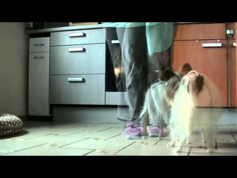 Trick 45 +79 (Honey Zero to Hero) Mitte im Kreis, LEEH und DA 2014 06 28