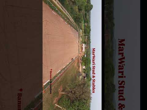 Thumbnail for a recent video by ISHEL - Indegineous Sport Horse Equestrian League