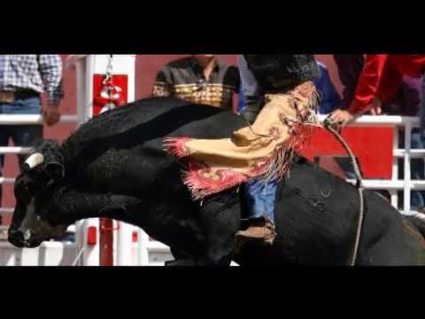 Bullrider: Ross Coleman