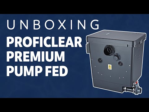 Watch Video on YouTube