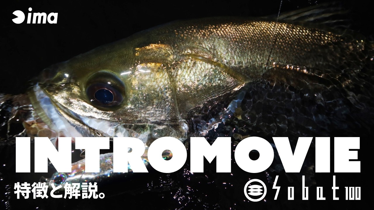 【INTRO】sobat 100 | 特徴と解説。