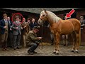 They laughed at a poor man at a millionaire's horse auction… but the game took a surprising turn!