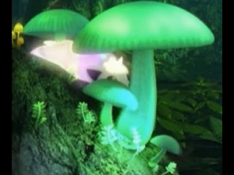 Pokemon Spada e Scudo : scopriamo il BOSCO BRILLANTINO