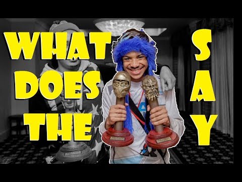 What Does The Fox Say? MK11 SonicFox vs. Hayatei Summit Semifinals