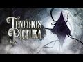 Vidéo de gameplay de Tenebris Pictura  Playstation 4