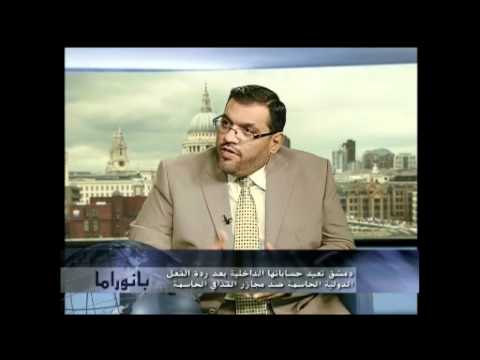 مقابلة مع أنس العبدة في برنامج "بانوراما" على قناة بردى، دمشق تعيد حساباتها بعد ردة الفعل الدولية ضد القذافي