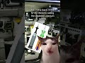 Luna The Crunchy Cat Eats Depleted Uranium Sabots War Thunder