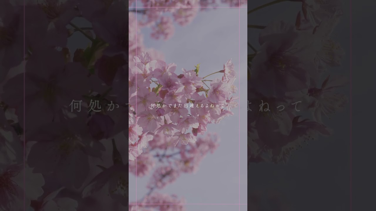 #tonun #青い春に (Re-recorded) #lyricvideo #fyp